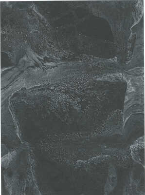 Тарханов Михаил Михайлович. Три композиции эбру в зелено-черно-бежевых тонах (две двухсторонние)